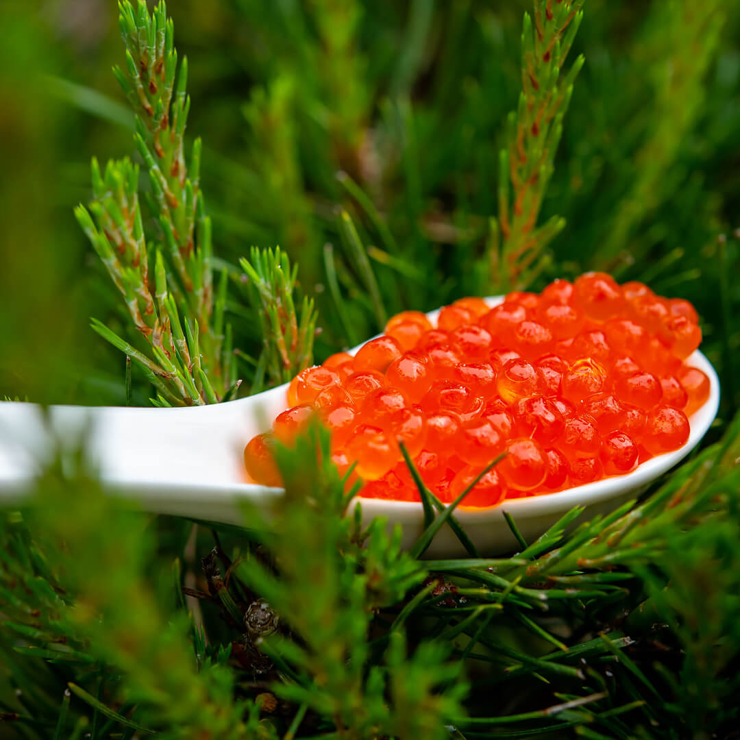 Salmon Trout Caviar, 250g