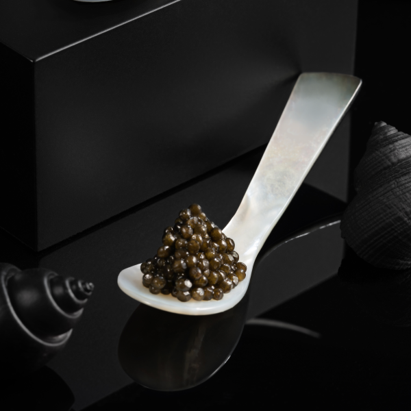 Osietra kaviár, 500g